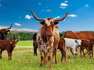 1710 Highway 14, Shell, WY 82441