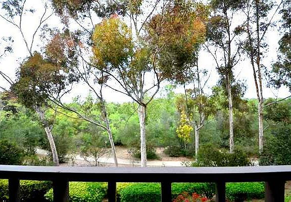 View from the master balcony