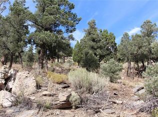 0 Lakeview Dr, Big Bear City, CA 92314