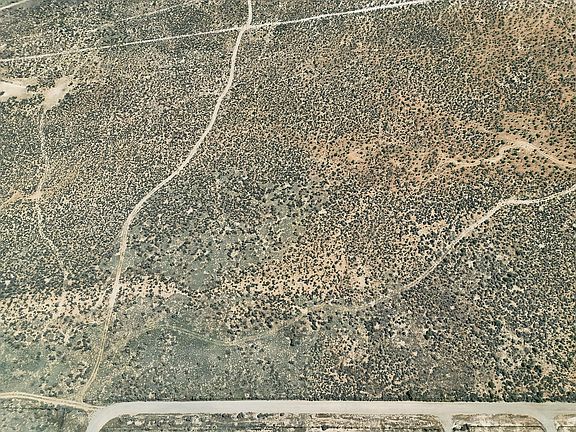 3rd image of 40 Acres