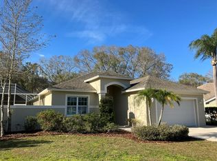 6624 Appaloosa Dr, Tampa, FL 33625