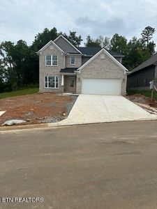 8528 Yellow Aster Rd, Knoxville, TN, 37931