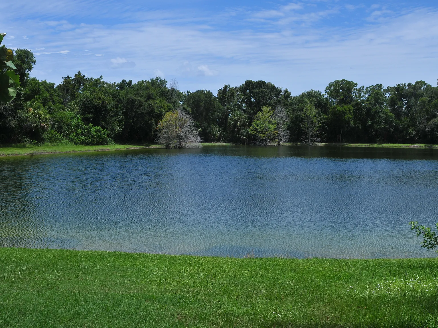 3 bed, 1691 sqft, $3,200 — Photo 4