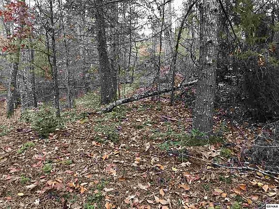 2nd image of 19 Sencebaugh Dr Lot 19A