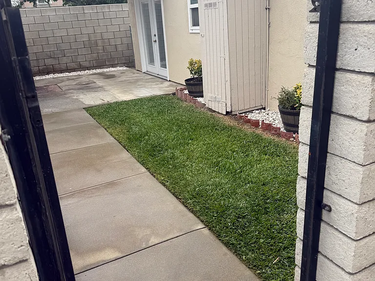 Yard
