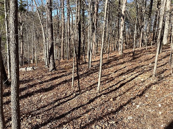 4th image of Village Road Rogers