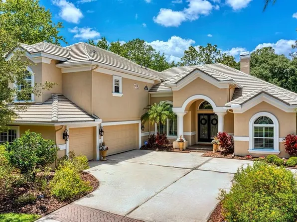 16423 Burniston Dr, Tampa, FL 33647