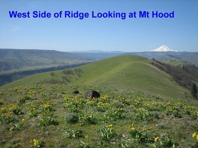 Cherry Heights Rd, The Dalles, OR, 97058