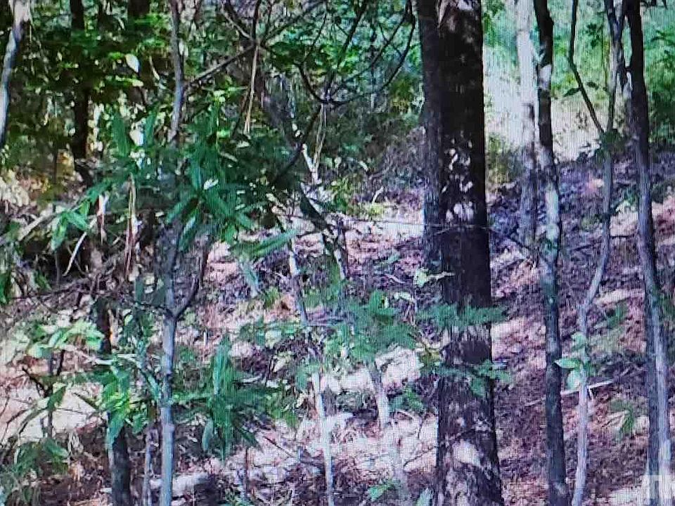 2nd image of State Highway 98