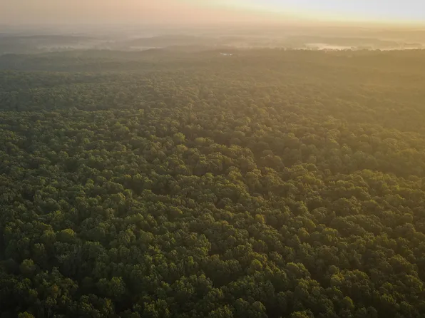 000 Highway N, Mt Vernon, MO 65712