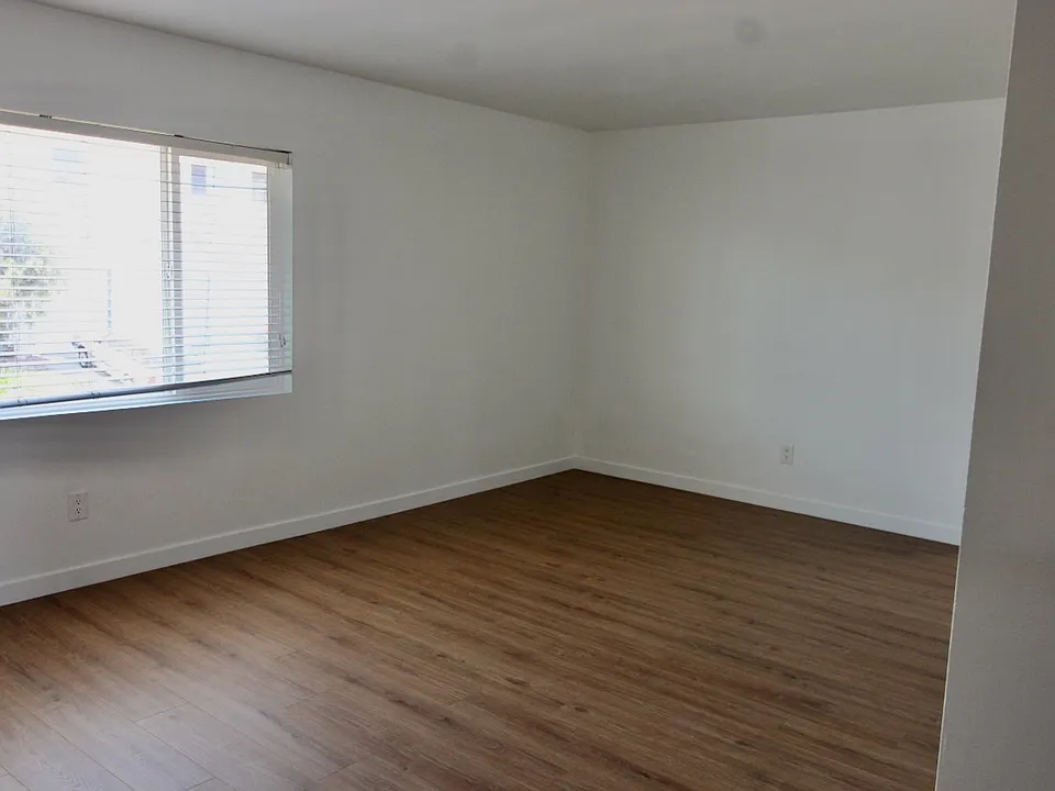 Large Living room