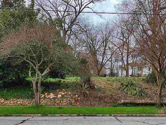 4th image of LOT 1 E Davis St #1