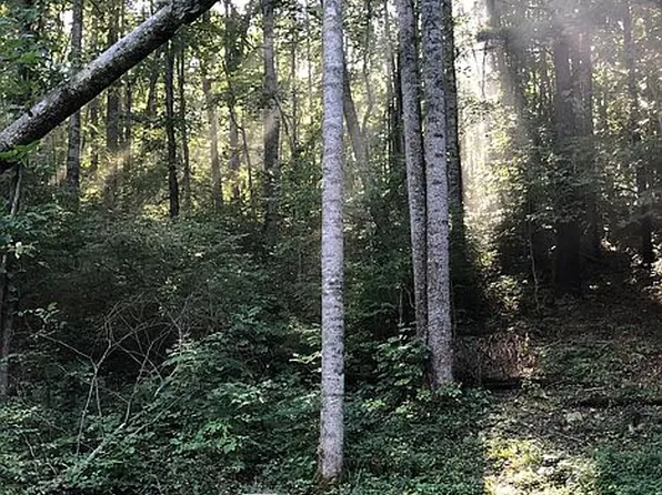 0 Dove Dr, Buena Vista, VA 24416