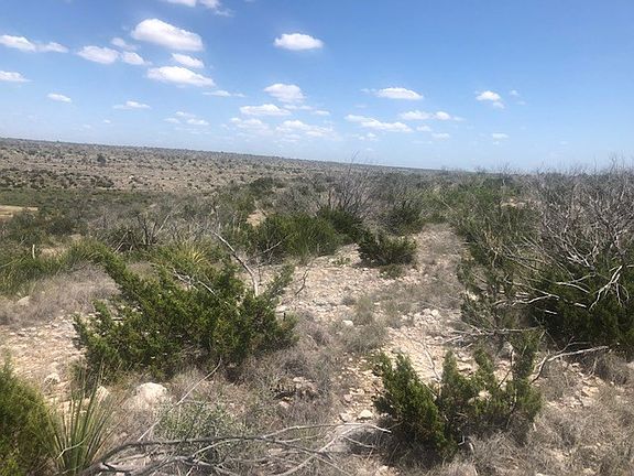 5th image of Bob White Lane Tract #15