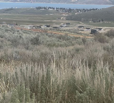 2nd image of 3113 S Bunch Grass Dr