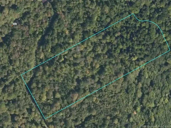 LOT 1 McDoo Rd, Springfield, NB E5T 2K5