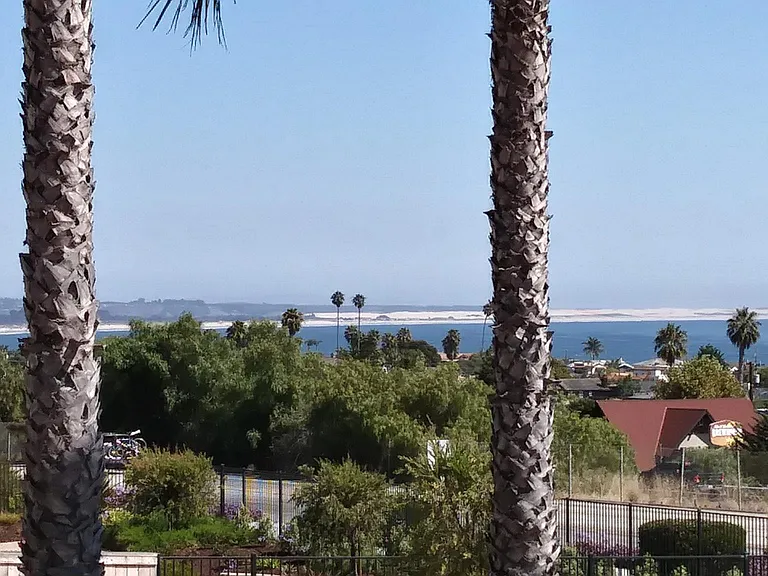 1602 Costa Del Sol — Photo 4