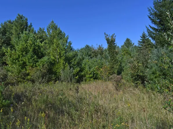 0 N Kobs Rd, Tawas City, MI 48763