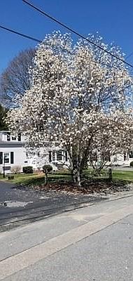 3rd image of 89 Central St