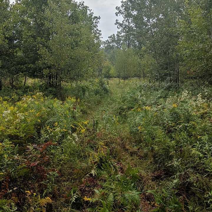 2nd image of N Meridian Rd