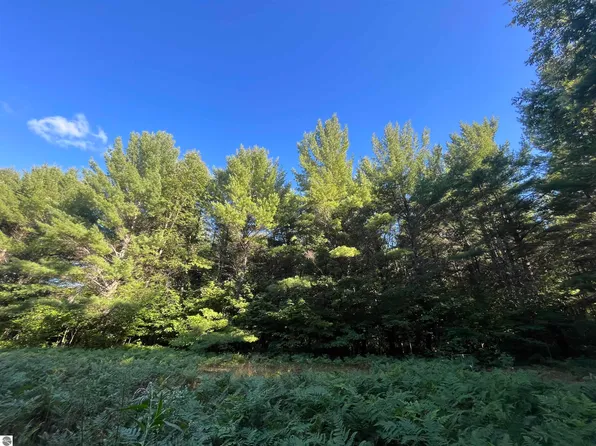 11856 Red Hawk Trl, Fife Lake, MI 49633