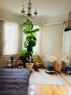 Rented by Bell Realty | media 5