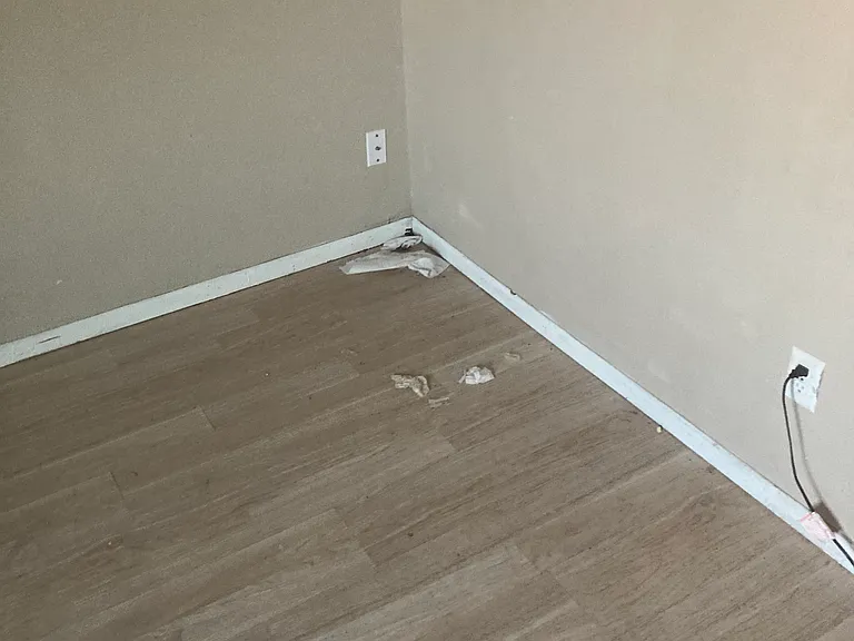 6 Daisy Ct — Photo 16
