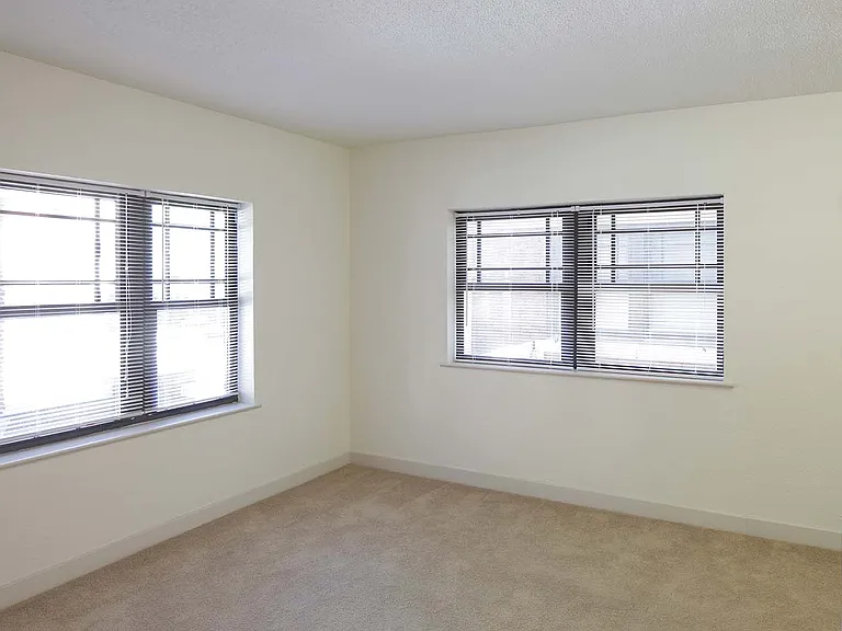 Dining/Living room