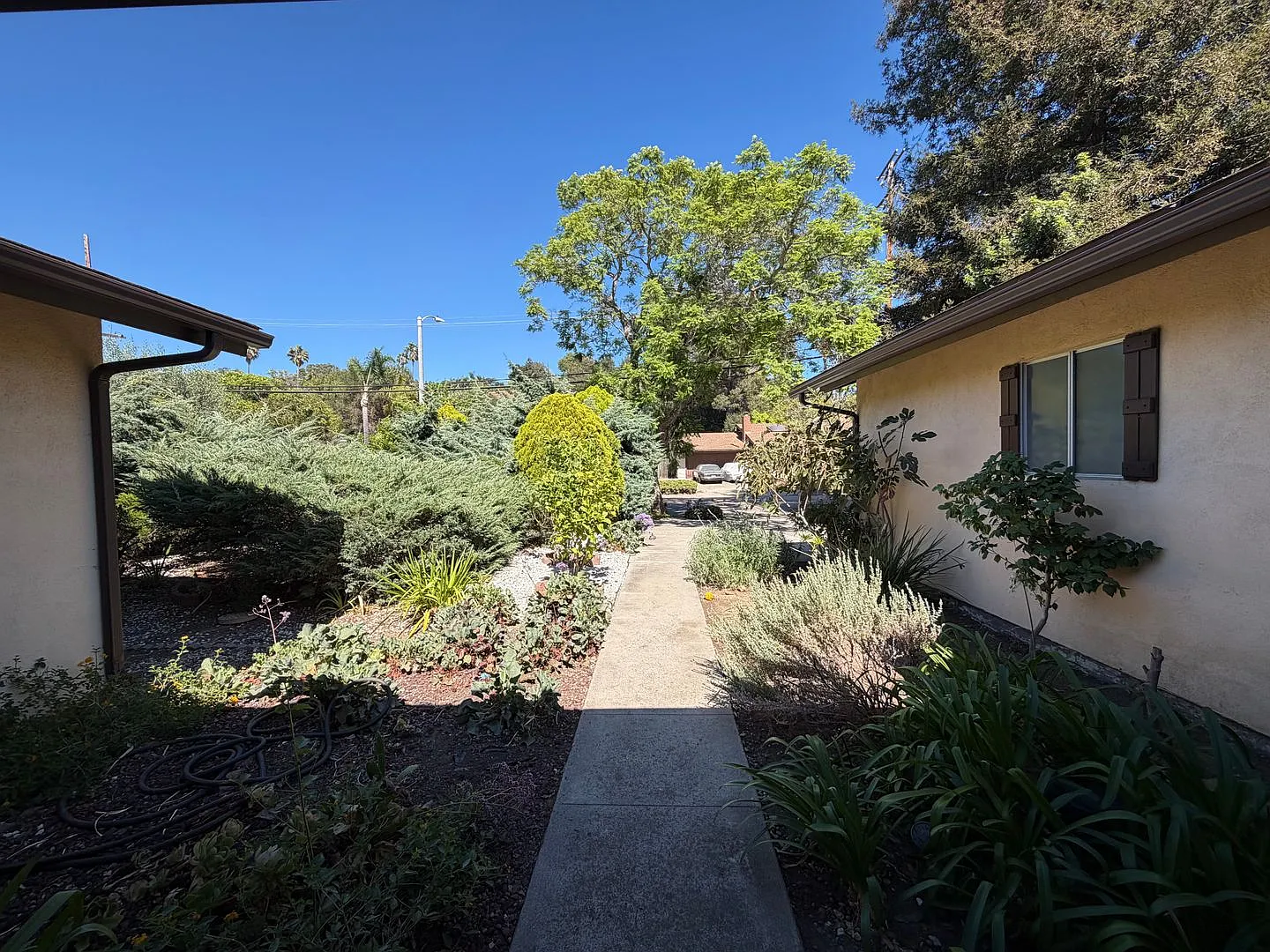 Lovely Remodeled 4 bedroom 2.5 bathroom home in the coveted Mountain View School District — Photo 2