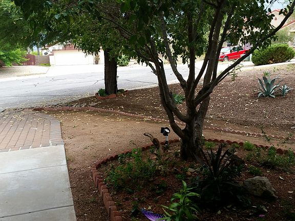 View from front door