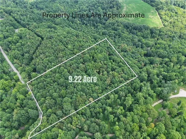 260 Ocelot Rd NE, Salineville, OH 43945
