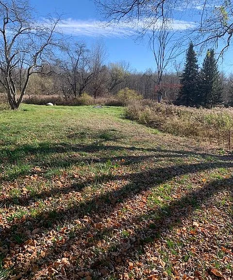 7674 Miller Rd — Photo 15