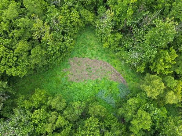 139 River Bend Rd, Crum, WV 25669