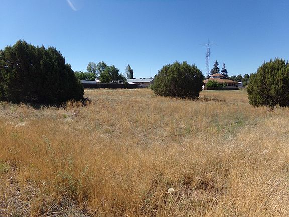 4th image of 161 E Sylvester Dr