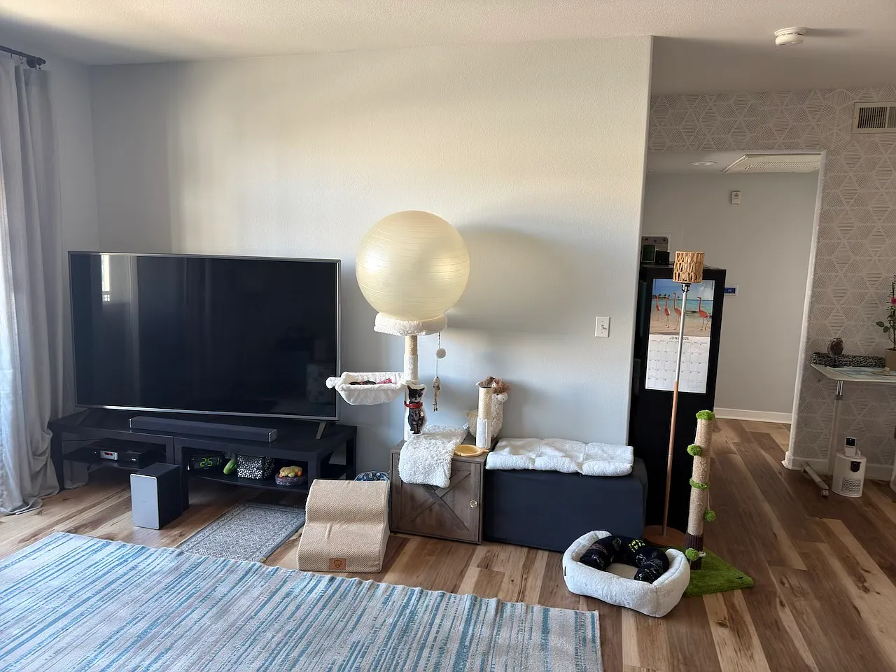 1 bed, 781 sqft, $2,898 — Photo 4