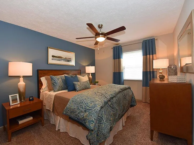 Cozy bedroom with carpet