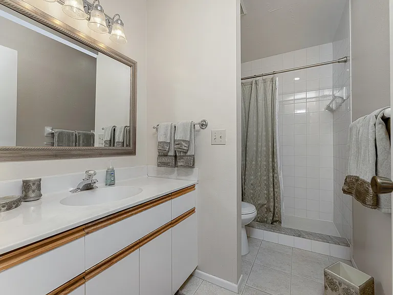 Master Suite Bathroom