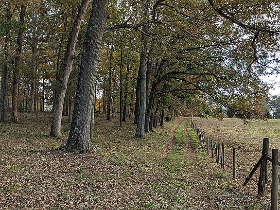  property goes to fence line