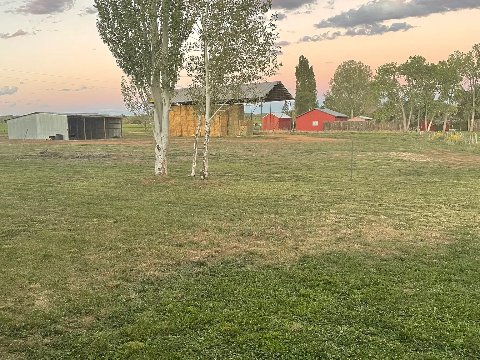 3 bed, 1300 sqft, $1,650 — Photo 4