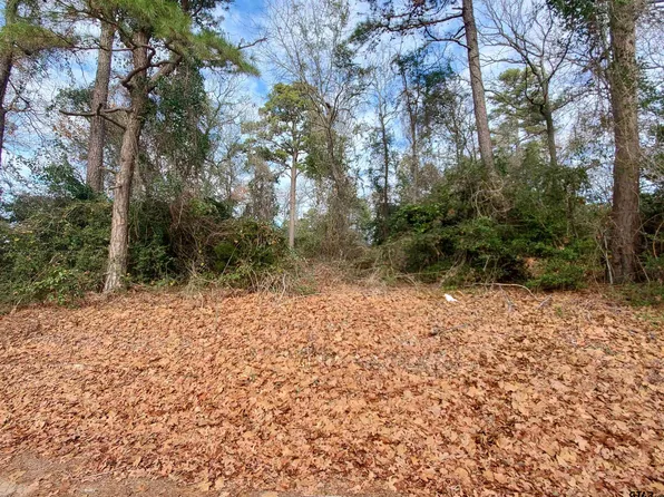 Beech Rd, Big Sandy, TX 75755