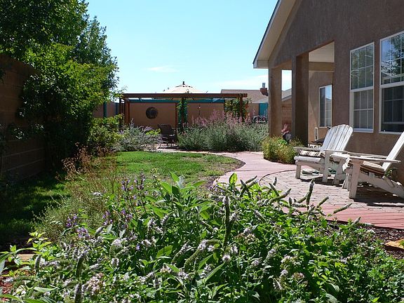 Back yard looking east