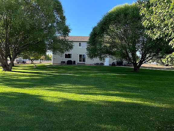 Huge, shady back yard