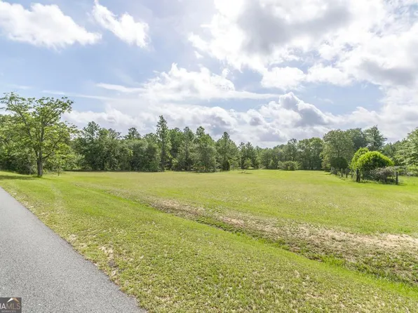 0 Georgia Rd, Butler, GA 31006