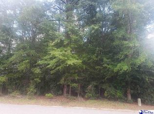 Dogwood Ave, Darlington, SC 29532