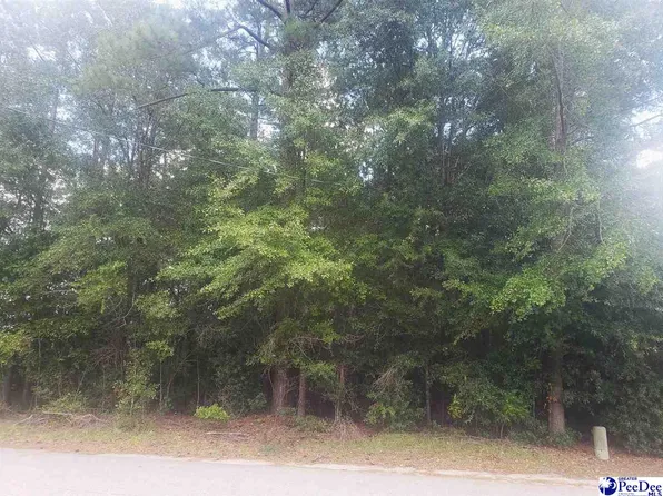 Dogwood Ave, Darlington, SC 29532