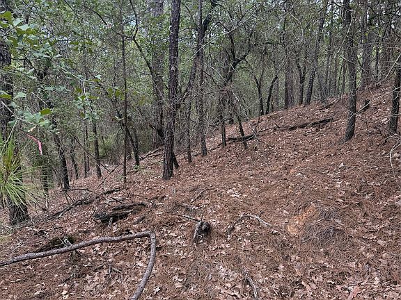 5th image of LOT 213 Hekili Dr