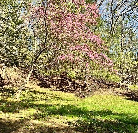 3rd image of 23 Baxter Road