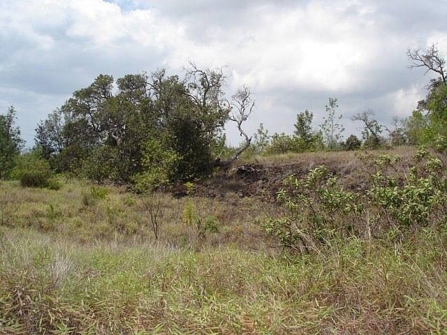 2nd image of King Kamehameha Blvd Lot 14