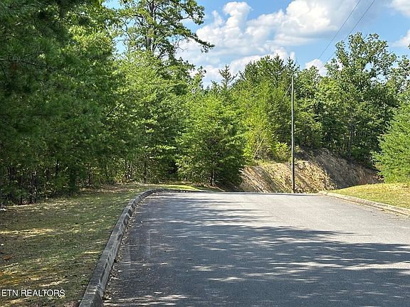 4th image of 1824 Pinestand Ridge Way