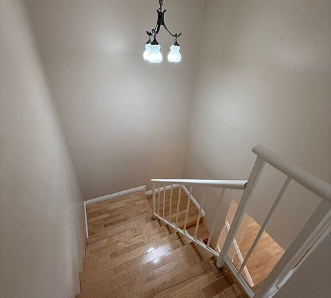 5th image of 2517 Cypress Point Dr